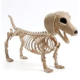 JOYIN Wiener Dog Skeleton 24” Plastic Animal Posable Skeleton Halloween Decorations with Movable Joints for Graveyard Scenes Haunted House Prop Party Decor Spooky Indoor Outdoor Decorations