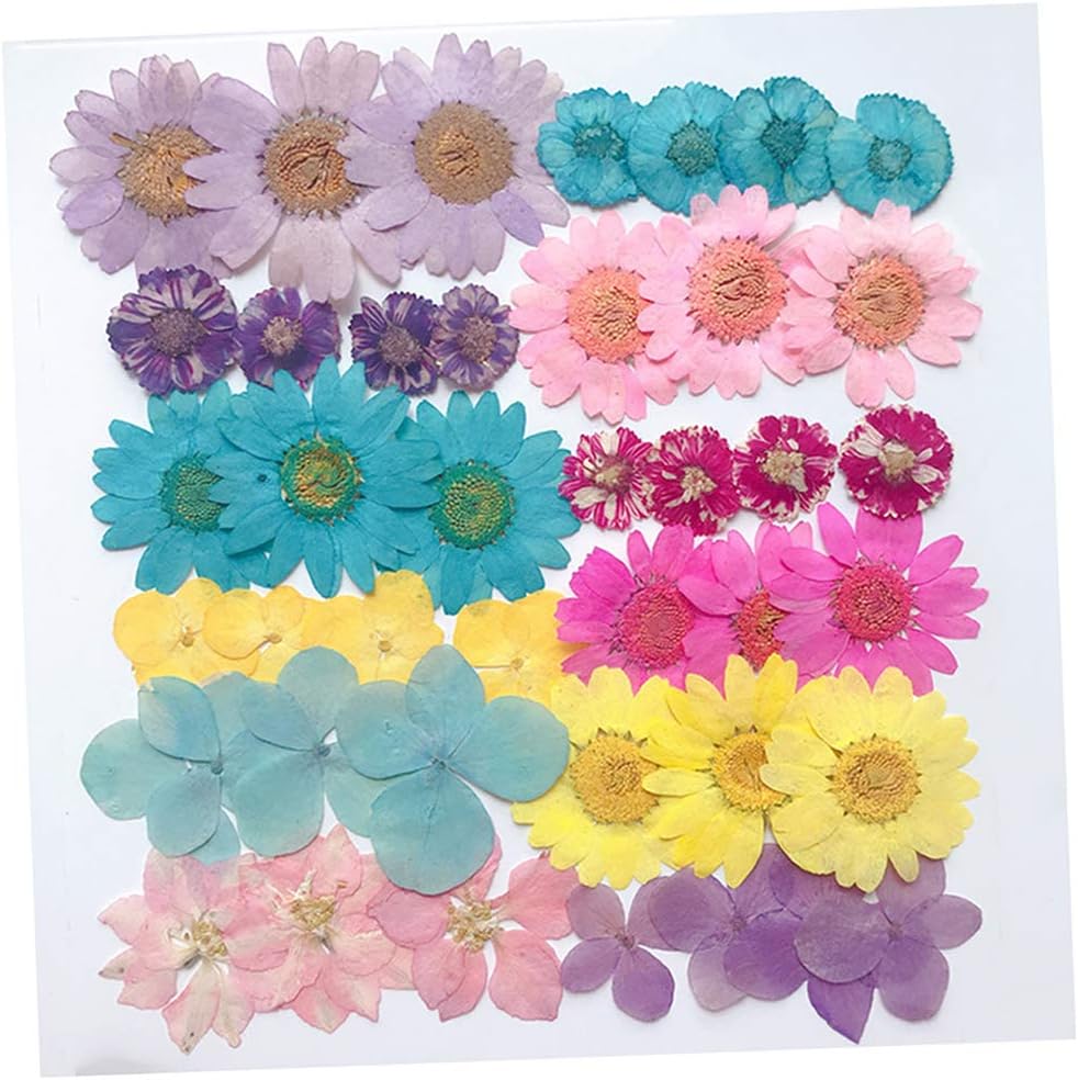 N A Natural Pressed Dried Flowers Pressed Leaves Diy Floral Art Craft Decor Soap Candle Filler Ornaments Dried Flowers Artificial Dried Flora