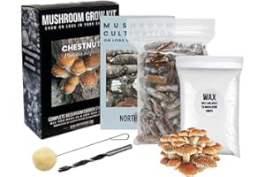 North Spore Chestnut Mushroom Log Kit, Outdoor DIY Mushroom Kit, Easy & Fun Wellness Hobby, Includes 100 Count Mushroom Plugs