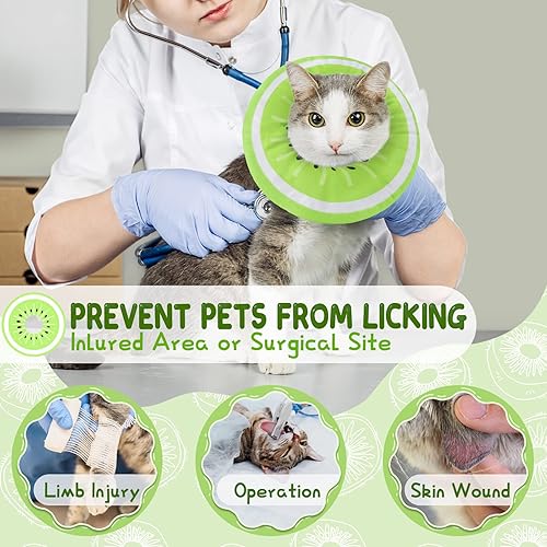 After Surgery Keep Cone On Cat Supet Cat Cone Collar Soft To Stop