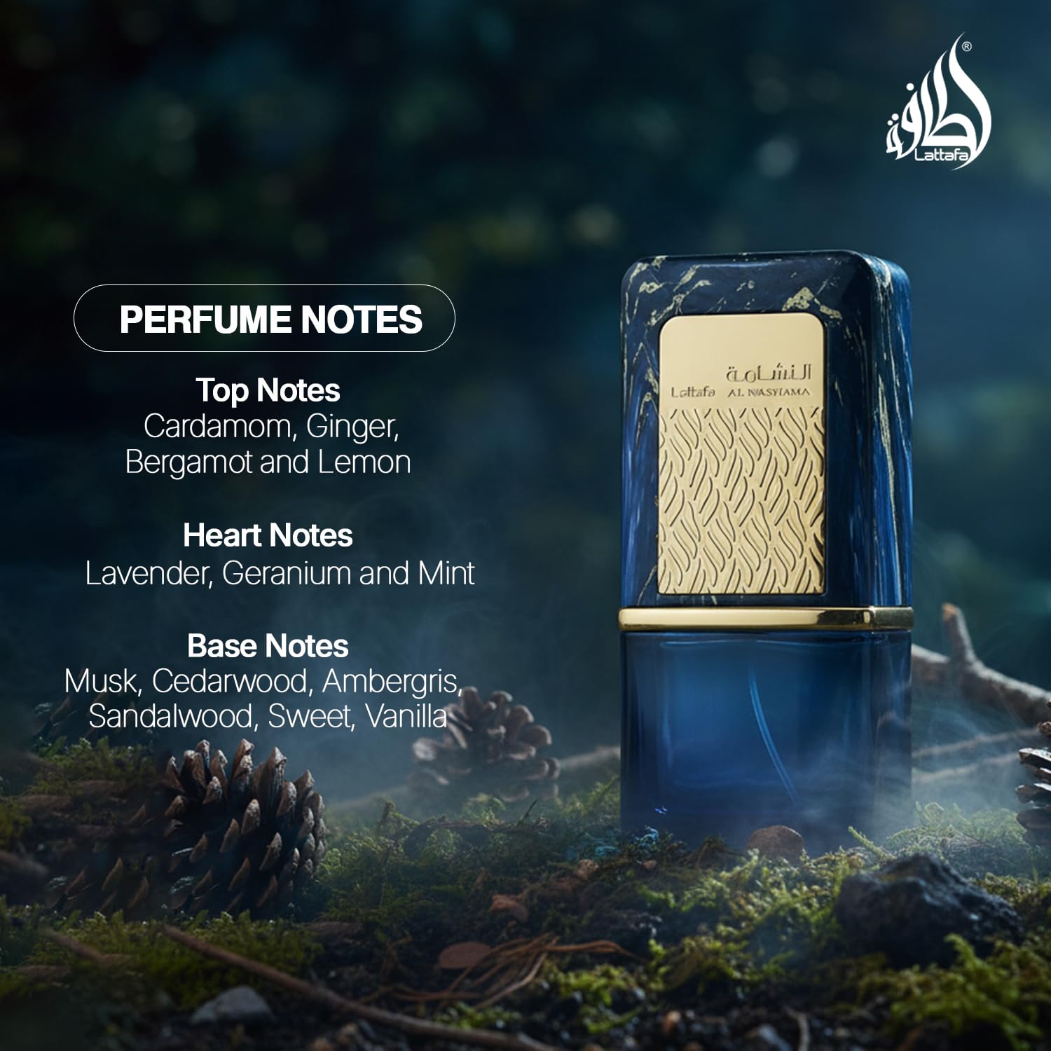 AL NASHAMA CAPRICE 100ML 4