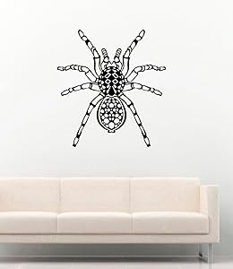 Vinyl Wall Decals Big Spider Tarantula Decor Stickers Vinyl Mural MK5965