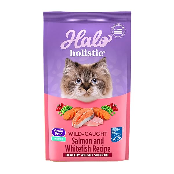 HALO HOLISTIC INDOOR CAT FOOD DRY, GRAIN FREE WILD-CAUGHT SALMON & WHITEFISH RECIPE FOR HEALTHY WEIGHT SUPPORT, COMPLETE DIGESTIVE HEALTH, DRY CAT FOOD BAG, ADULT FORMULA, 6-LB BAG