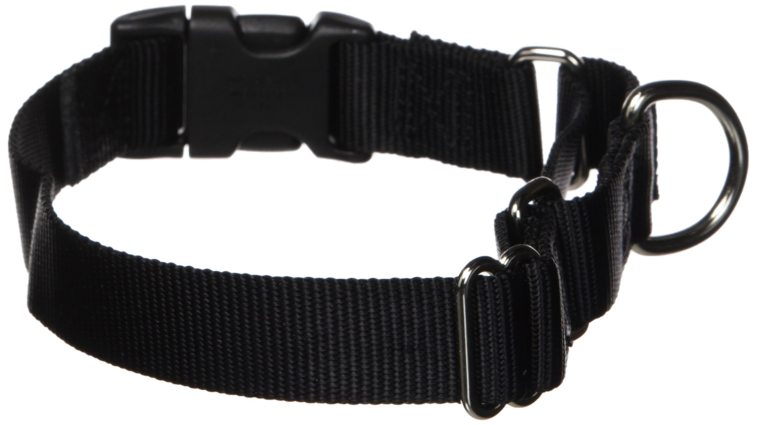 martingale collars with quick snap buckle
