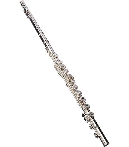 Amazon.com: Yamaha YFL-262 Open-hole Student Flute : Musical