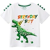 Dinosaur Birthday Boy T-Shirts Dino Birthday Shirts for BoysTolddlers Dinosaur B-Day Party T Shirt