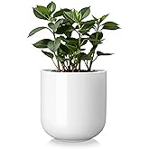 vancasso 6 Inch Ceramic Plant Pots, Planters with Drainage Hole, Flower Pots Planters Pots for Indoor Plants, Modern Indoor Decorative Garden Pot, Home Decor, White