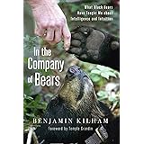In the Company of Bears: What Black Bears Have Taught Me about Intelligence and Intuition