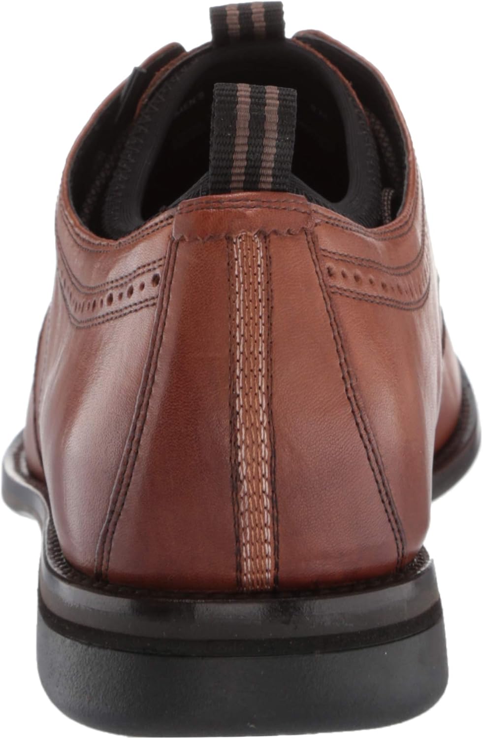 holland long wing oxford