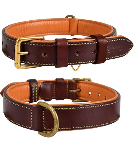 Amazon.com : Genuine Leather Dog Collar Green 7 Sizes (14