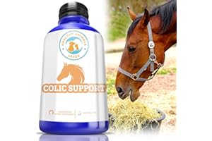HealthyAnimals4Ever All-Natural Horse Colic Support - Reduces Abdominal Pain and Other Stomach Issues - Supplements for Horses - Homeopathic & Highly Effective - 300 Tablets