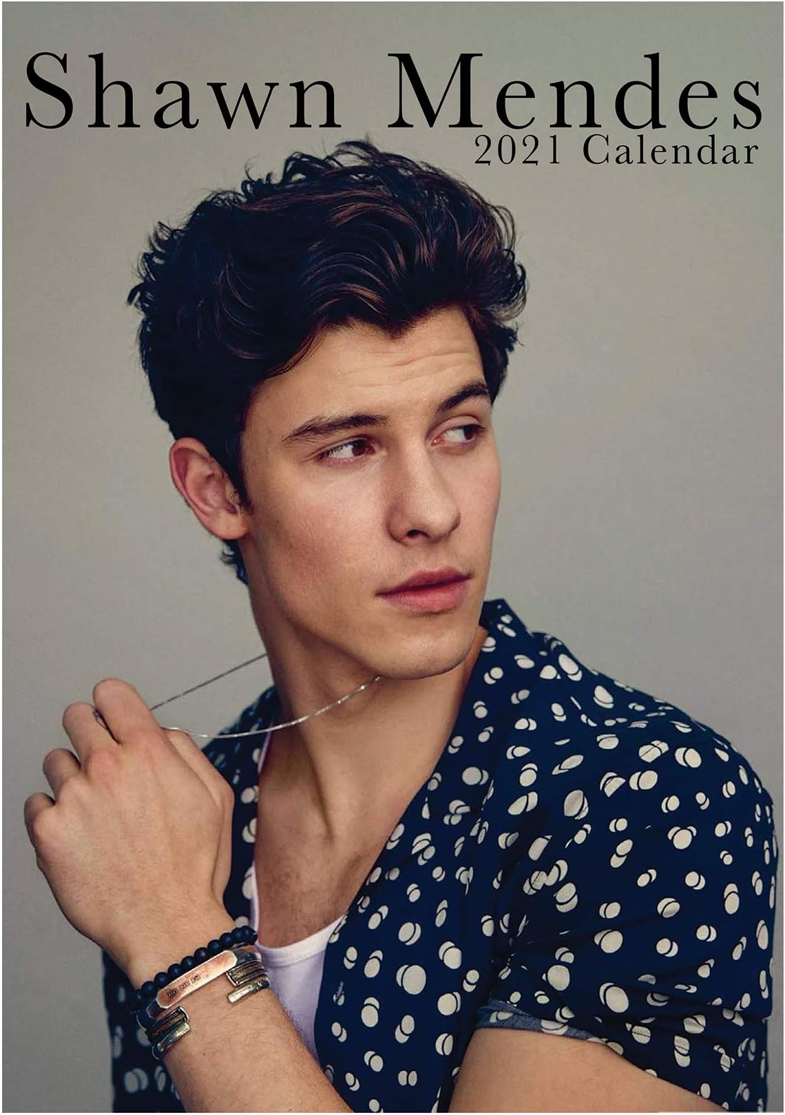 Shawn Mendes 1 2021 Calendar A3