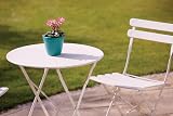 Ronseal Garden Paint White Ash GPWA250 250ml GPWA250 view 2