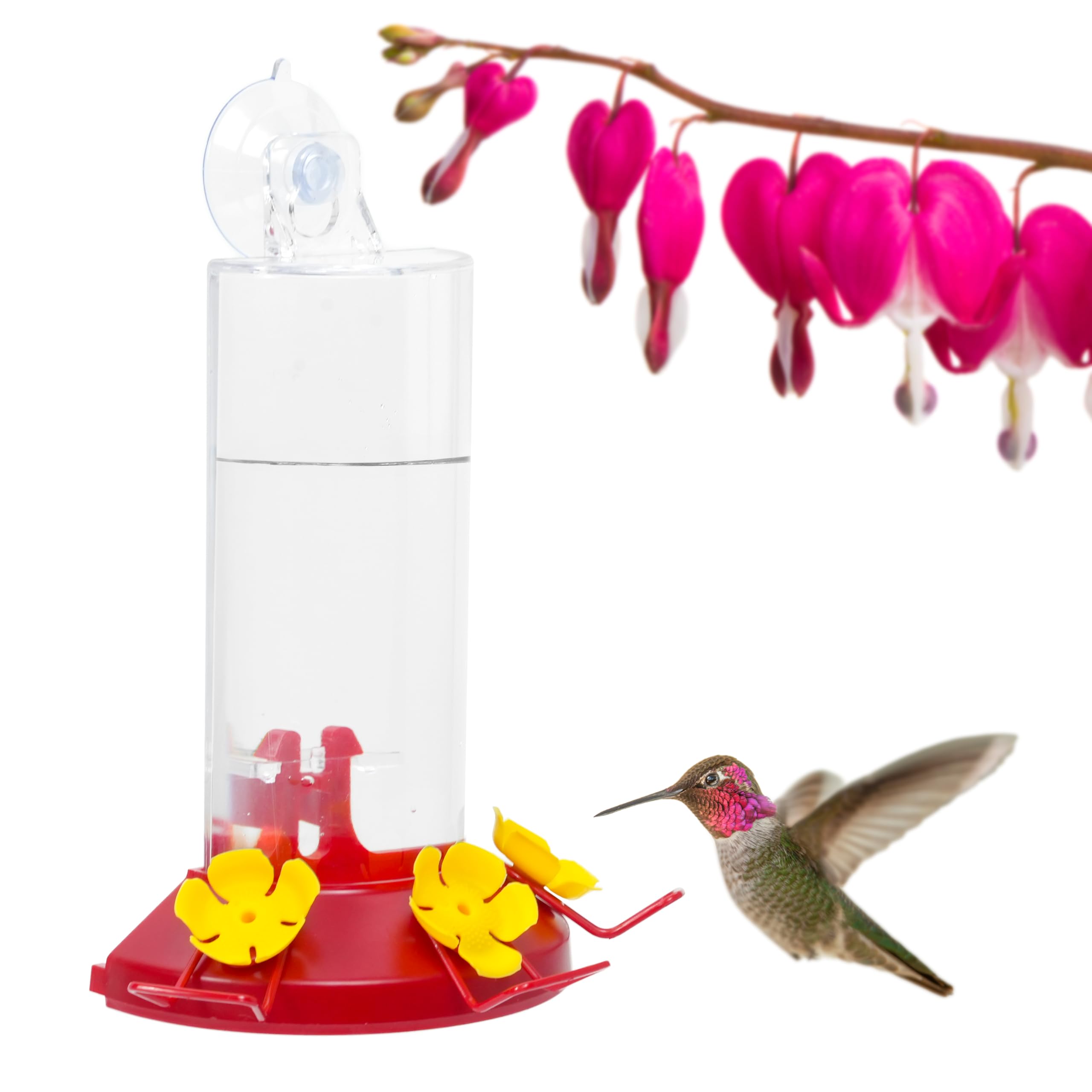 Photo 1 of Perky-Pet Plastic Window Mount Hummingbird Feeder with Perches - 8 oz Hummingbird Nectar Capacity, 217 - Hummingbird feeders for outdoors