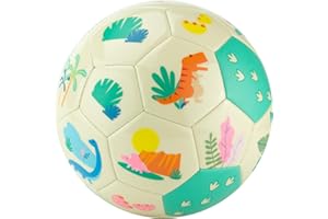 Daball Kid and Toddler Soccer Ball - Size 1 and Size 3, Pump and Gift Box Included