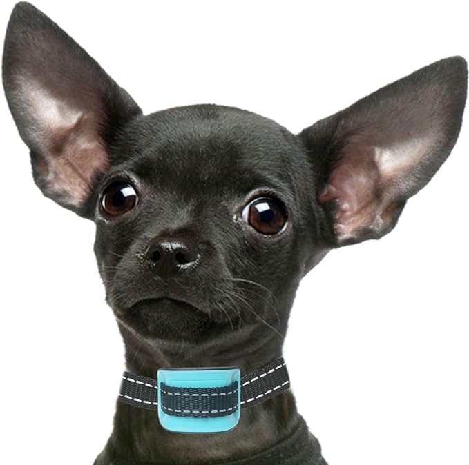 PetSol Small Barking Collar, Blue Anti Bark Collar, Perfect For