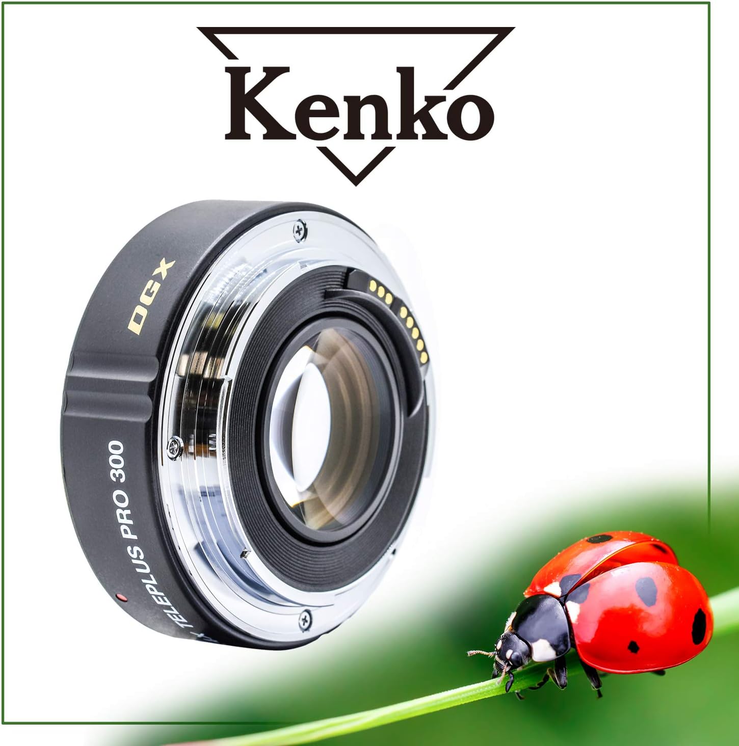Kenko Teleplus N-AF 1.4x DGX - Convertisseur Téléobjectif Pour Nikon AF