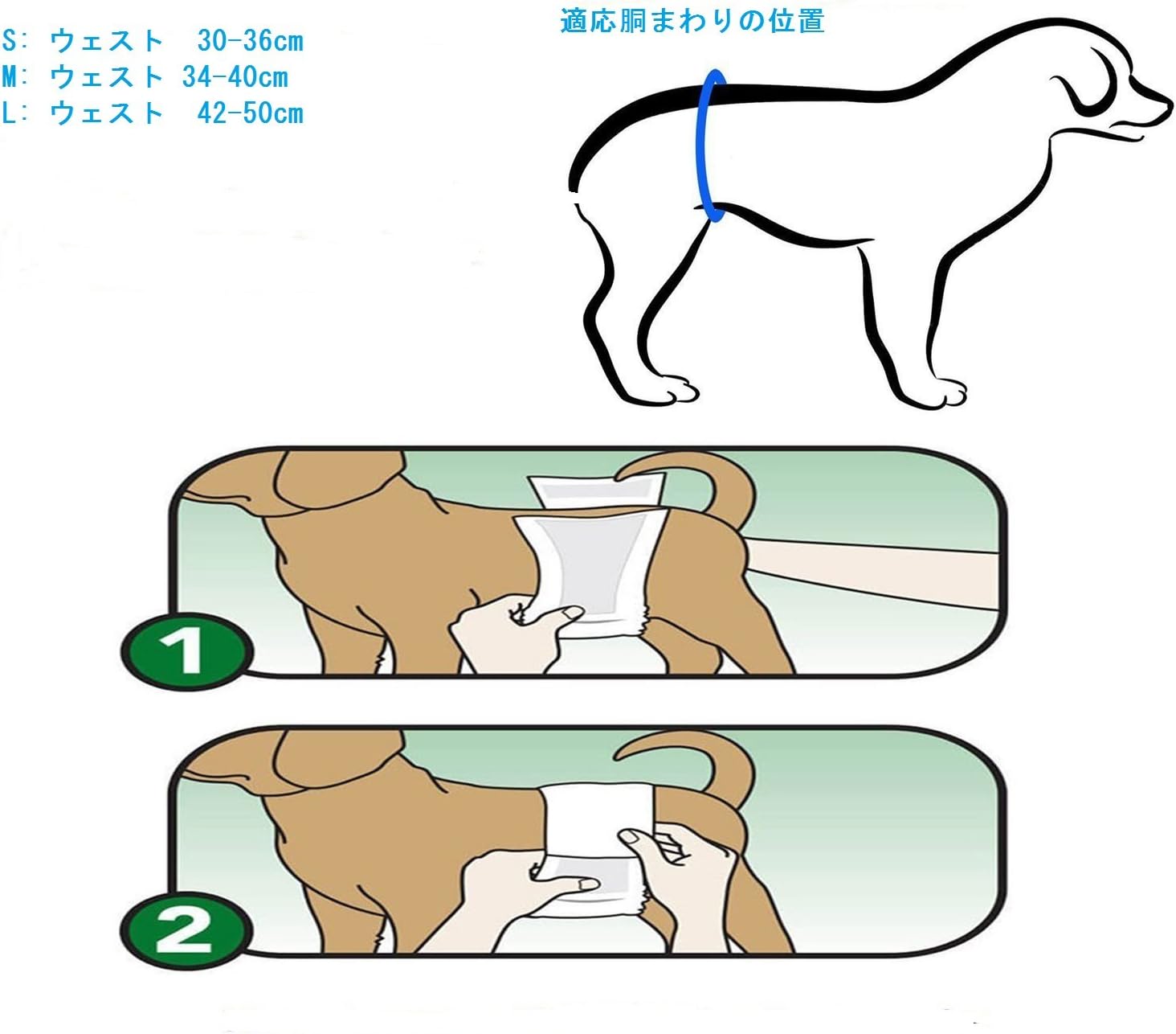 Amazon Ohbabyka犬用 マナーベルト マナーバンド オムツカバー ドッグウェア 犬の服 しつけ マーキング防止 トイレ おしっこ失敗 介護用 2点セット M Mgnk0104 Ohbabyka トイレトレー 通販 Amazon Ohbabyka犬用 マナーベルト マナーバンド オムツカバー ドッグウェア 犬の服 しつけ マーキング防止 トイレ おしっこ失敗 介護用 2点セット M Mgnk0104 Ohbabyka トイレトレー 通販