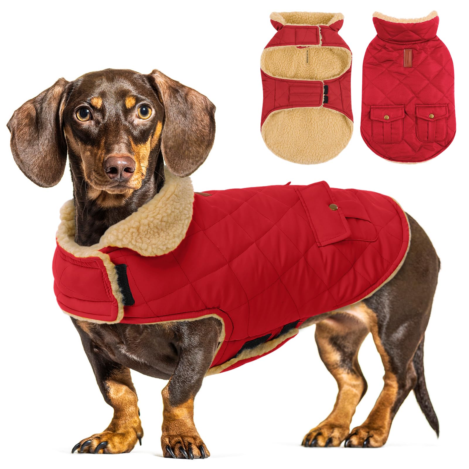 CITÉTOILE Dog Coat – Water-Resistant & Windproof Dog Jacket with Sherpa Lining, Leash Hole & Pockets | Warm Winter Dog Costume for Small, Medium & Large Dogs, Red, L