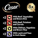 Cesar Juicy Hotpot Mixed Selection Wet Dog Food 8 x 150 g Trays 3 Pack view 6