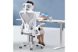Darkecho Office Chair,Ergonomic Desk Chair with Adjustable Headrest and Lumbar Support,High Back Mesh Computer Chair with Padded Flip-up Armrests,Swivel Task Chair,Tilt Function,Grey