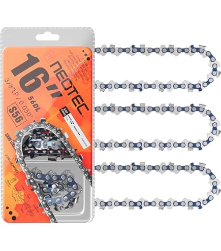 Amazon.com: 16