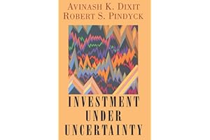 Investment under Uncertainty