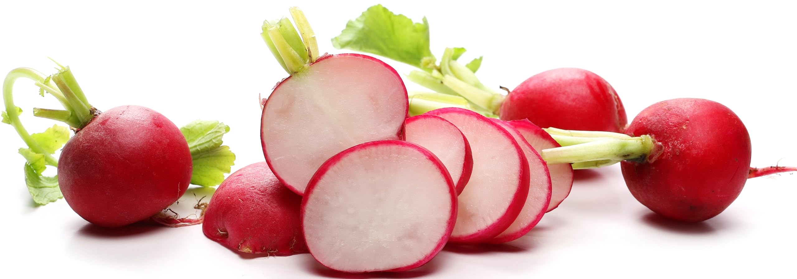 500 Champion Radish Seeds | USA
