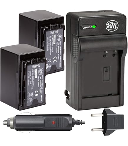 パナソニック Panasonic VW-VBD58 Amazon.com: BM Premium 2 Pack of VW-VBD58 Batteries for