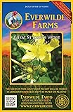 2000 Great St. John's Wort Native Wildflower Seeds - Gold Vault Seed Packet