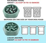 CAISHOW Slow Feeder Dog Bowl Small Medium Dogs Anti Gulping Non Slip view 4