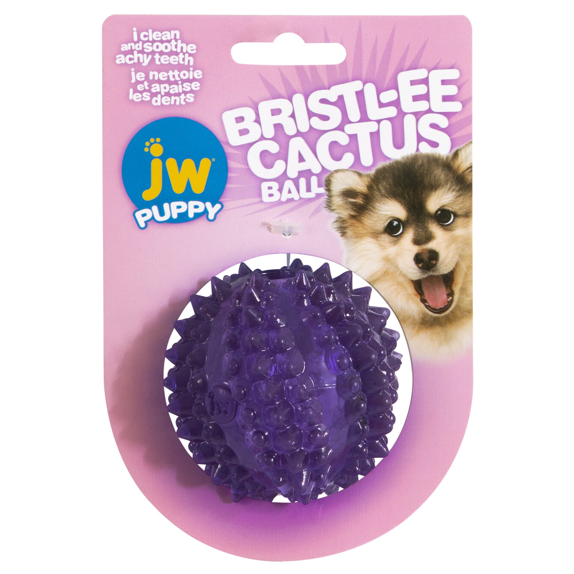 JW Bristly Cactus Ball - Puppy Relief Dental Toy - Puppy Chew Ball - Soft and Sturdy Textured Rubber - Massages Gums - One Size