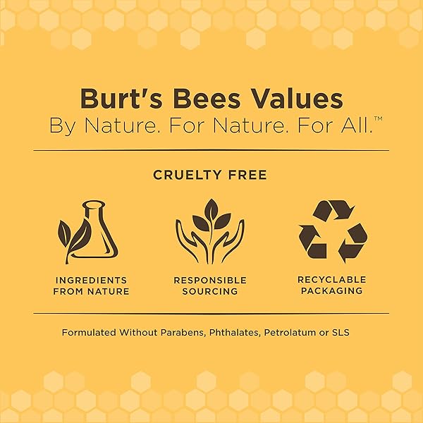 BURT’S BEES FOR PETS GENTLE CLEANSING PUPPY WIPES WITH BUTTERMILK, 98% NATURAL ORIGIN FORMULAS, HYPOALLERGENIC DOG WIPES CLEANING, DOG CLEANING WIPES, DOG WIPES FOR PAWS AND BUTT, 50CT