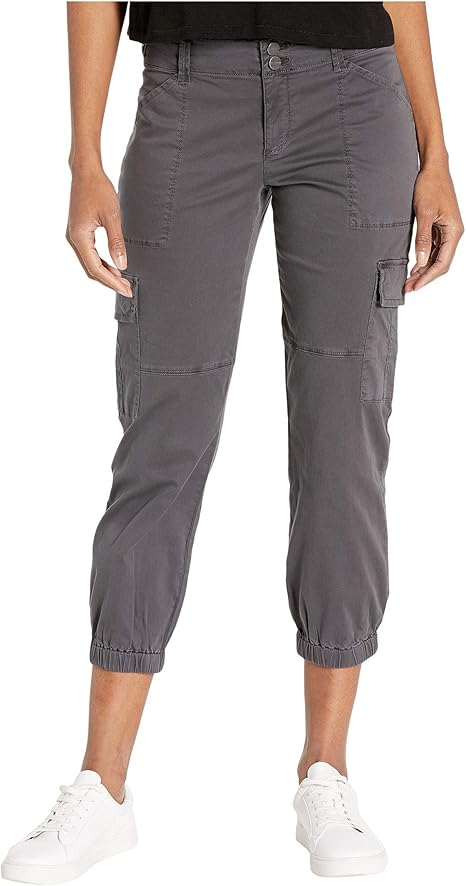 sanctuary terrain cargo pants