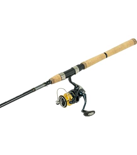 Shimano Caña de pescar y carrete esferas Spinning Combo agua salada : Deportes y Actividades al Aire Libre