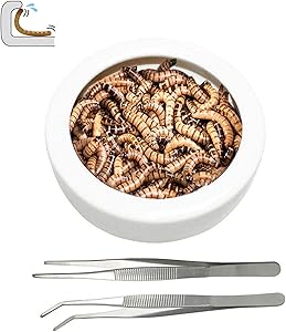 ADOGGYGO Worm Dish Reptile Bowl Mealworm Feeder Dish Ceramic Bowl with Feeding Tongs