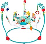 Baby Einstein Farm Explorers Jump & Learn Barnyard Jumperoo 6-12 Months