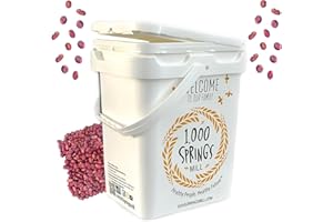 1000 Springs Mill - Organic Red Beans 25lb Bulk Bucket | Used for Soups, Salads, Chili or as a Sweet Paste for Desserts | Bulk Dry Red Beans | Vegan Friendly