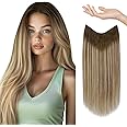 Sunny Wire Hair Extensions Real Human Hair Fish Line Human Hair Extensions Invisible Wire Extensions Light Brown to Platinum Blonde with Brown Highlights #6/60/6 14 Inch