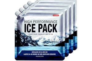 ABOXOBOG Reusable Ice Packs for Coolers Long Lasting Gel Freezer Packs for Cooler Bag Backpacks, Lunch Box, Cooler Bag, Keeps Food Cold Fresh (Set of 4)