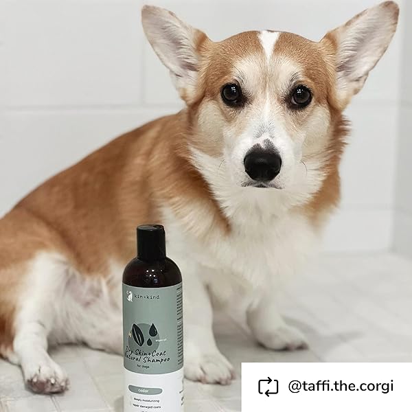KIN+KIND DOG SHAMPOO FOR DRY, ITCHY SKIN AND COAT RELIEF – SAFE, NATURAL FORMULA WITH OLIVE OIL, COCONUT OIL, CEDARWOOD – MADE IN THE USA – DOG GROOMING, PUPPY SUPPLIES, AND DOG ACCESSORIES(12 FL OZ)