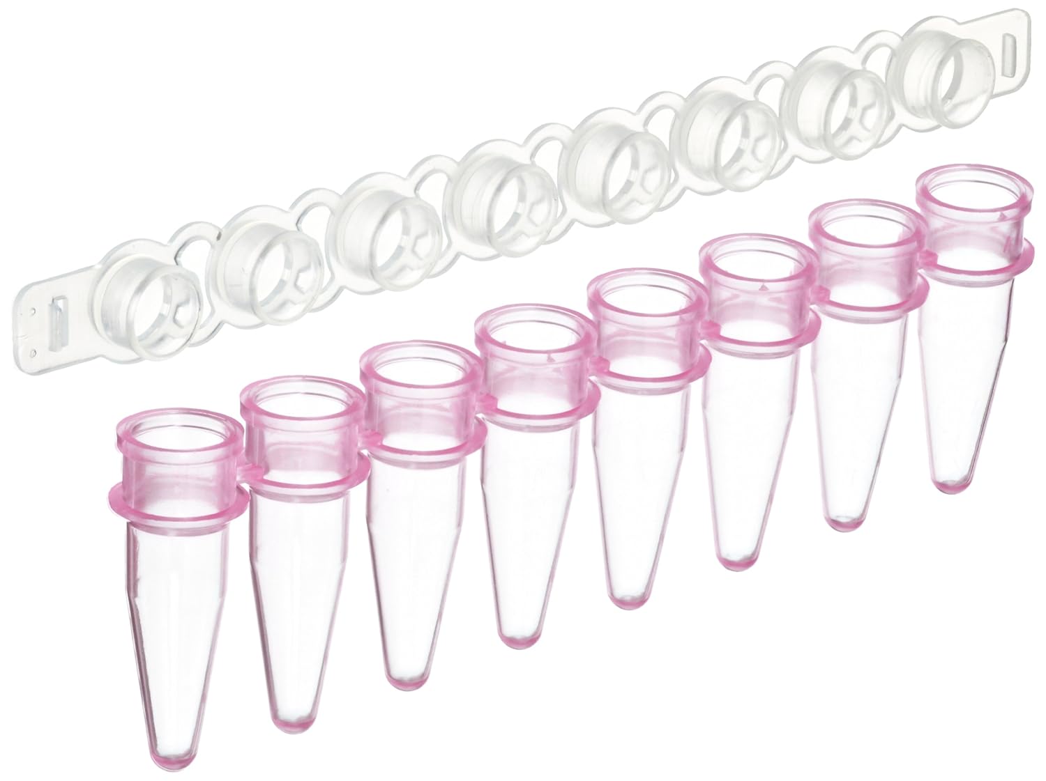 MBP Purple 8 Strip Thin Wall PCR Tubes with Dome Cap, 0.2ml Capacity
