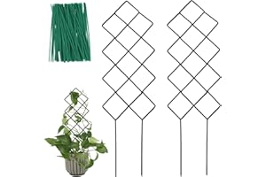 WellSign Metal Trellis for Climbing Plants Indoor, 16.36 inch Small Trellis for Potted Plants Geometric Shape Lattice for Ivy Vines Hoya Houseplants Flower 2 Pack