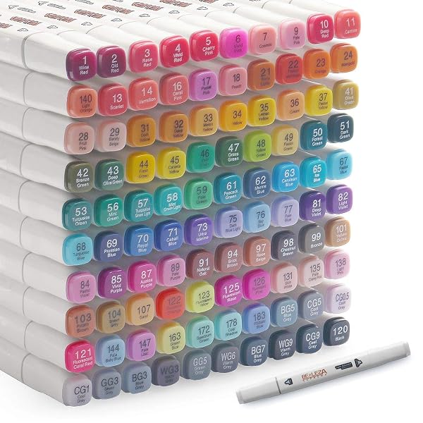 ALCOHOL MARKERS 100 COLORS ART MARKERS PROFESSIONAL ART...