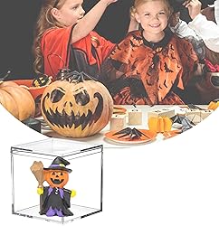 Acrylic Box Large Clear Display Boxes with Lid