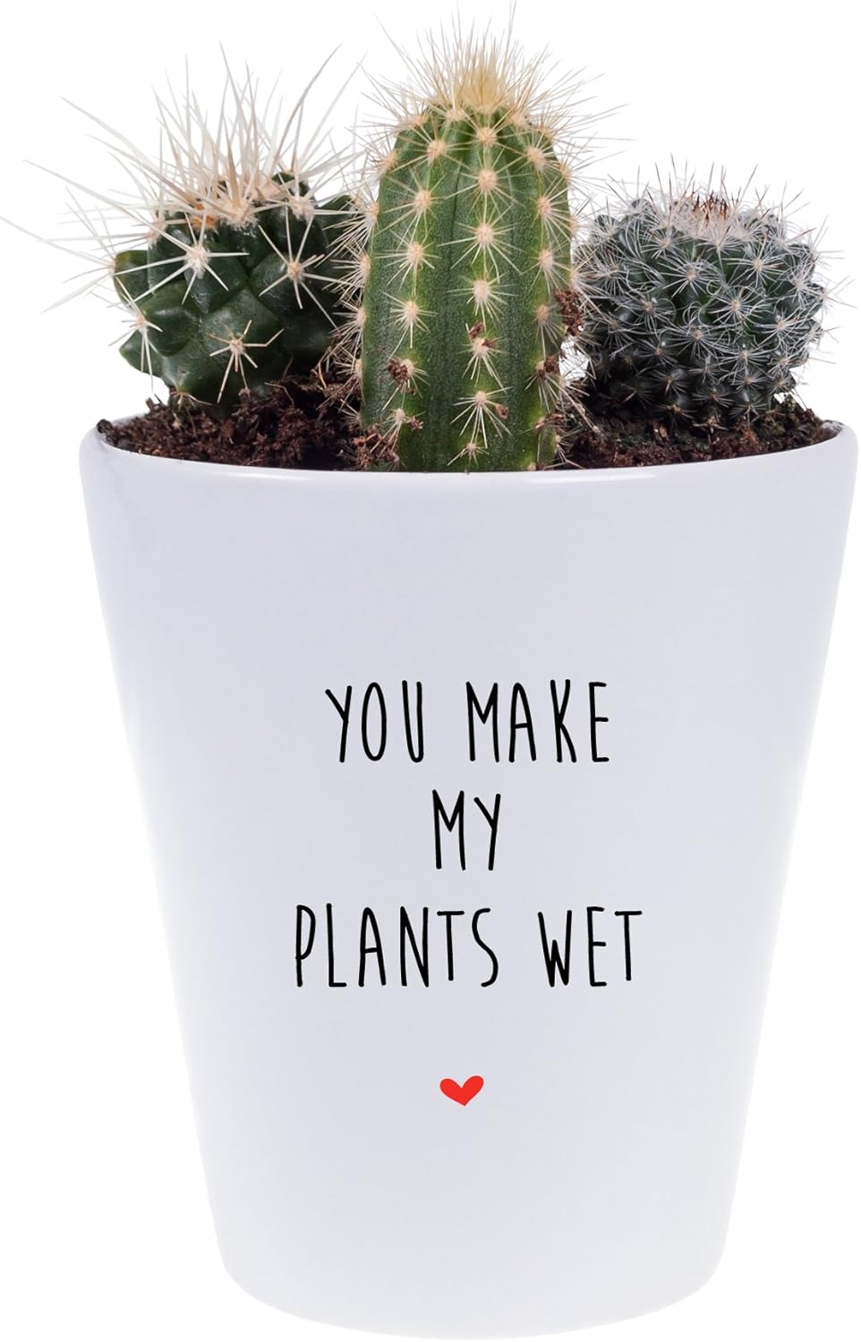 plant gift for girlfriend
