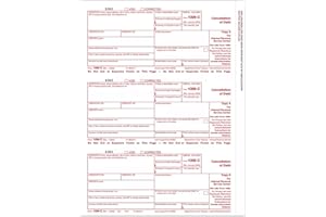 EGPCHECKS 1099-C, Cancellation of Debt, Federal Copy A