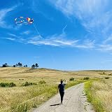 HONBO Large Delta Kite 54x31 Inch with 2x13ft Tails Handheld Line view 3