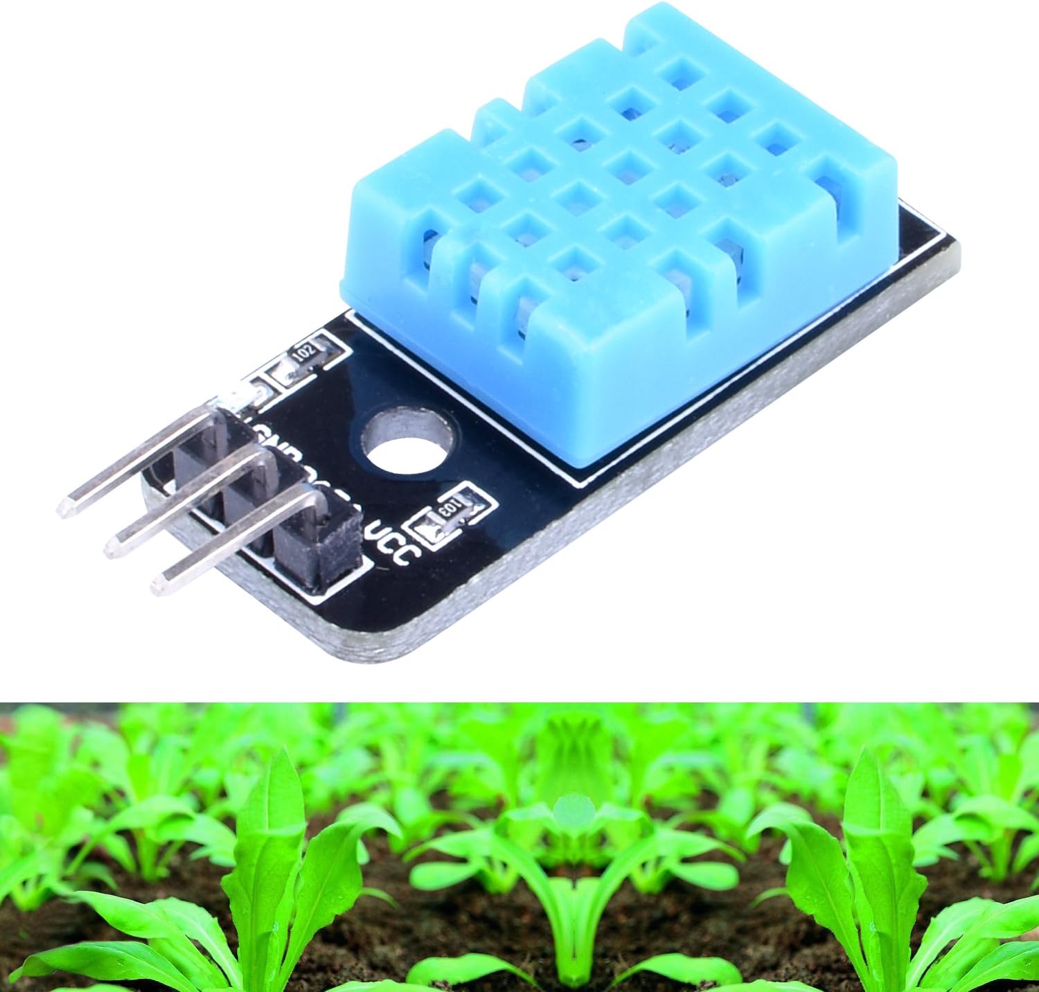 Longruner 5 PCS Temperature Humidity Sensor Module DHT11 with 20PIN ...