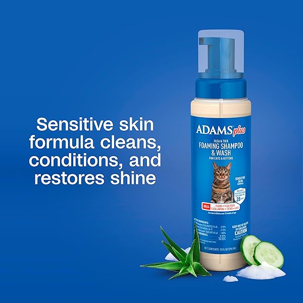 ADAMS PLUS FLEA & TICK FOAMING SHAMPOO & WASH FOR CATS & KITTENS OVER 12 WEEKS, SENSITIVE SKIN FLEA TREATMENT FOR CATS & KITTENS, KILLS ADULT FLEAS, TICKS AND LICE ON CONTACT, 10 OUNCES